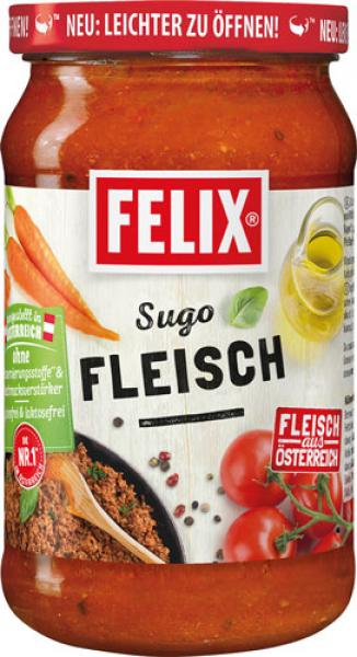 Felix Sugo Fleisch